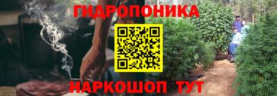 кокс Нягань