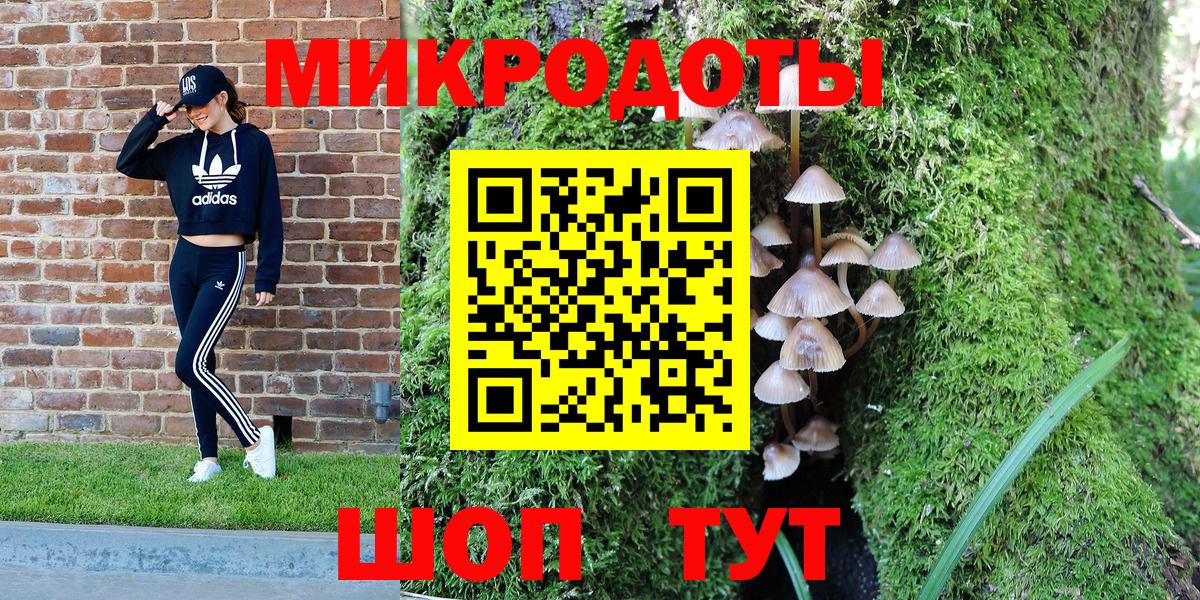 Спасск-Дальний  Псилоцибиновые грибы ЛСД  где купить наркоту  Вход с VPN 