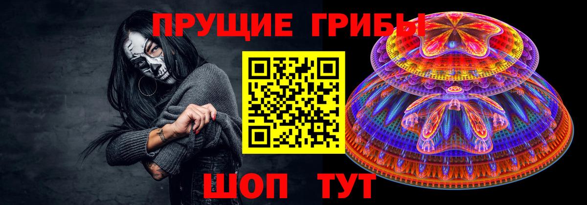Псилоцибиновые грибы GOLDEN TEACHER Спасск-Дальний